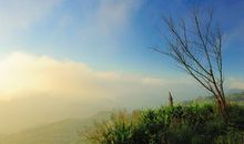 好朋友离开的心碎句子