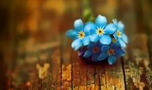 关于友情美好的句子