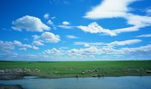 暗示夏天太热的句子