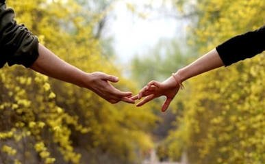 诗意的句子