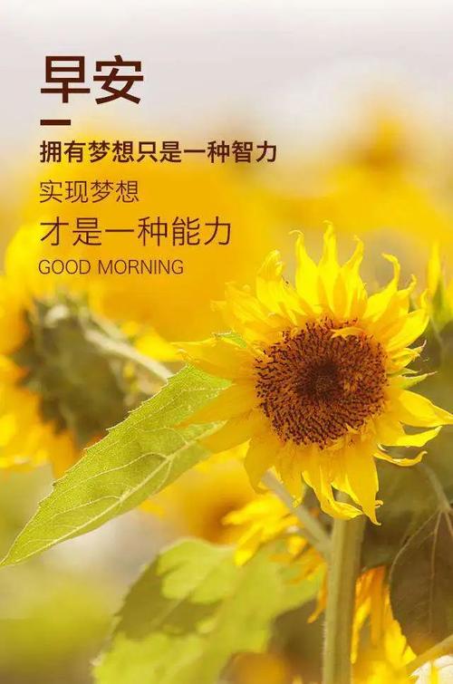 2020年经典语录