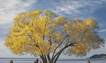 随心贴句子送朋友