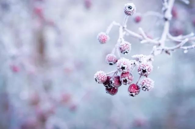 晓雪诗古诗优美诗