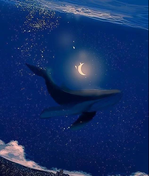 在深夜对自己说晚安