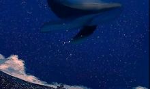 深夜致自己的说说晚安