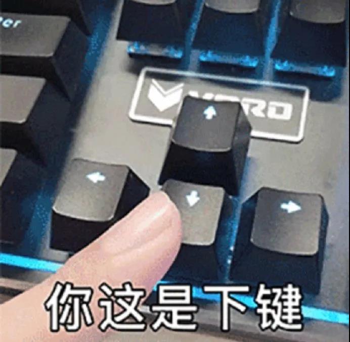 高档花式绿茶，我失去了学业2