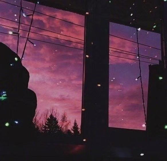 新生牛的祝福1