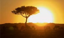 经典人生短句励志