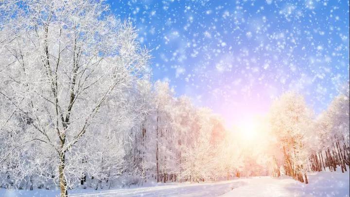 谈论2021年的第一场雪2