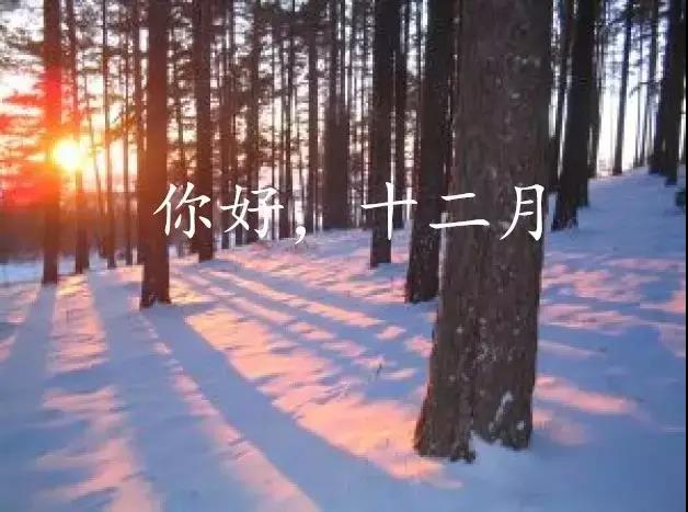 十一月再见