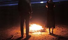 跟牛相关的文案