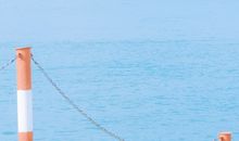 祝属牛生日快乐的短句