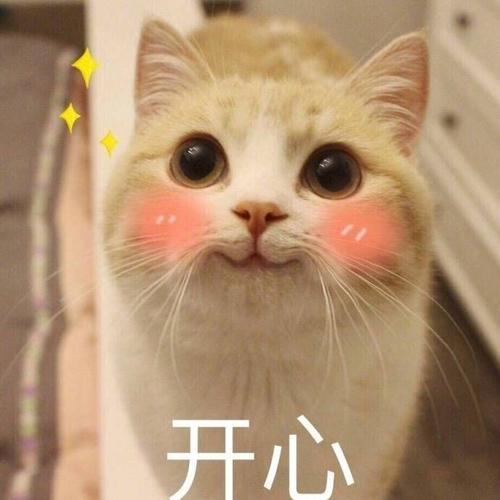 高兴而快乐的句子