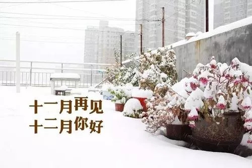 谈论十一月底