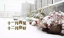 十一月结束的说说