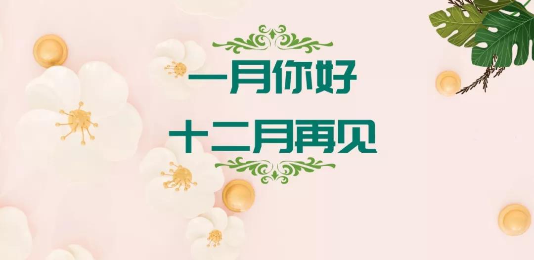 再见十二月一月你好谈图片