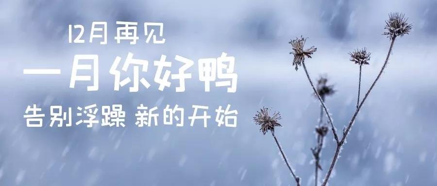 再见十二月一月你好说话图片1