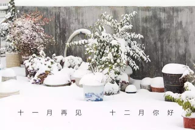 你好，十二月