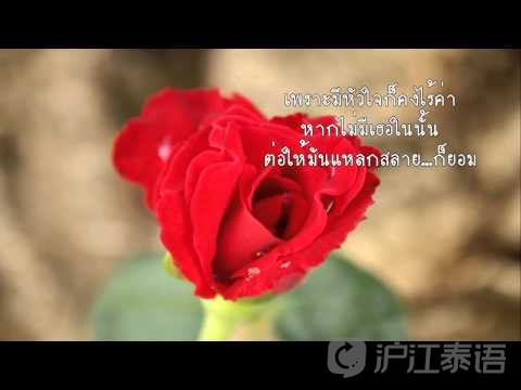 花英语句子