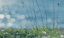 夏天发给客户的短信