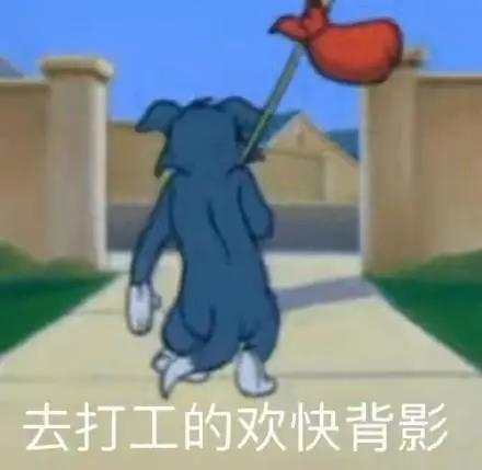 社会和动物谦虚语录