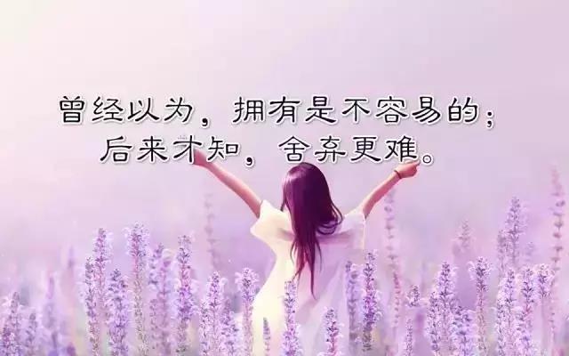 心动的报价短句1