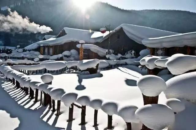 雪文写作