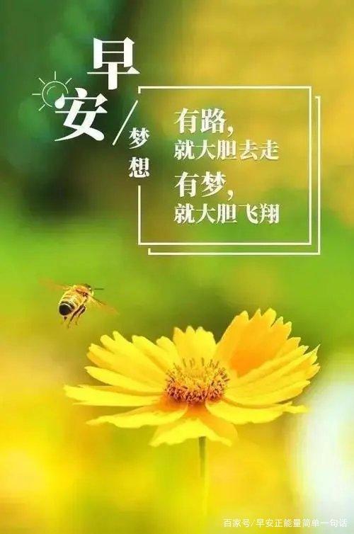 微信早安正能量问候