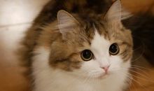 让自己开心起来的好句子