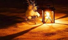 母亲心痛孩子的句子