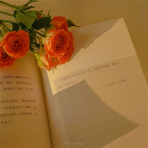 公司在牛年的祝福