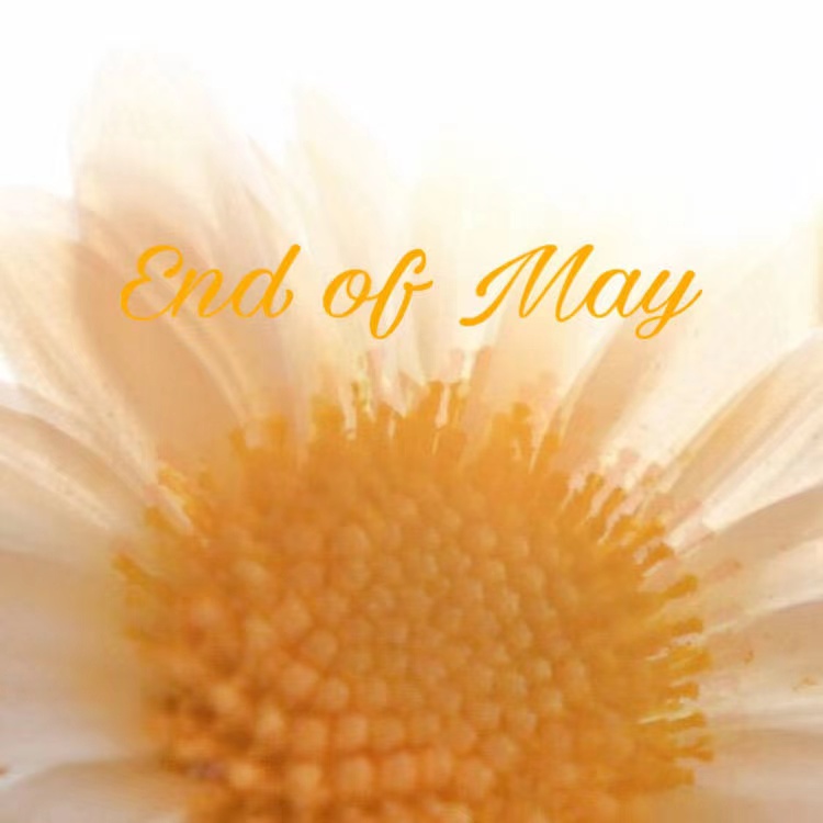 牛年祝愿公司越来越好
