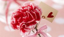 赞美母亲的句子 赞美妈妈的经典语录