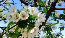 七年之痒的心痛句子