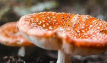 心酸到窒息的难过句子