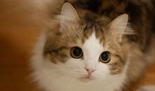 关于逗女孩开心的句子