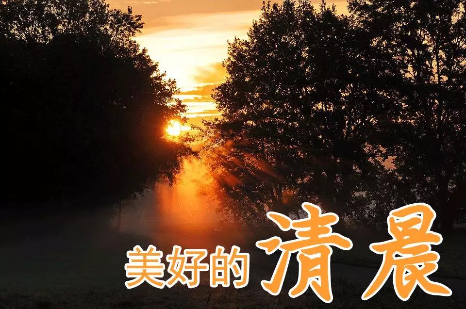 美好的一天心情短语