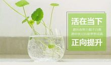 精辟的朋友圈说说大全