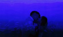 连爱了开心幸福的句子