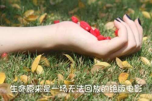 青年谈话2
