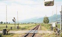 表示开心的词语和句子有哪些