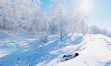 冬天的风的优美句子