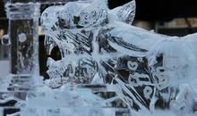 婚姻中心累发表的句子