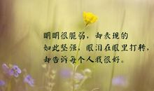 女人在朋友圈伤感说说大全