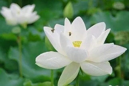 经典经文