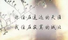 太爱一个人的说说