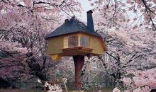 生日有家人陪伴的开心句子