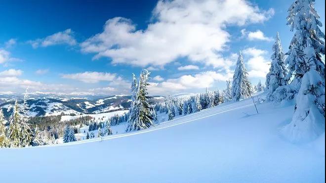 雪文写作之心2