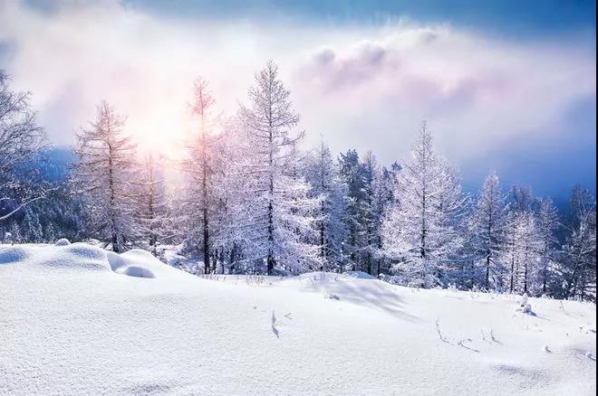 雪文写作之心1