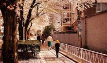 描写开心的词语和句子